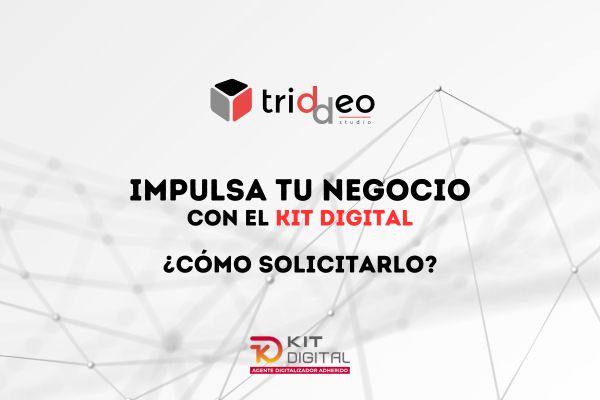 Kit Digital En Zaragoza Cons Guelo Con Triddeo