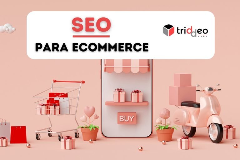 Expertos Seo Para Ecommerce Tiendas Online Triddeo